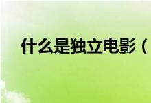 什么是獨(dú)立電影（什么是獨(dú)立院校阿？）
