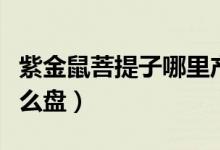 紫金鼠菩提子哪里產(chǎn)的最好（紫金鼠菩提子怎么盤(pán)）