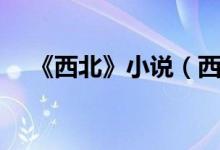 《西北》小說（西北偏北寫了哪些小說）