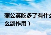 蒲公英吃多了有什么害處（蒲公英吃多了有什么副作用）