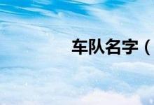 車隊(duì)名字（車隊(duì)名字大全）