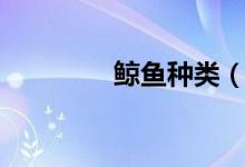 鯨魚種類（有哪些分類呢）