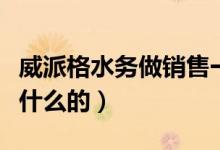 威派格水務(wù)做銷售一年收入多少（威派格是做什么的）