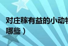 對莊稼有益的小動物（對莊稼有益的小動物有哪些）