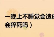 一晚上不睡覺會造成什么后果（一晚上不睡覺會猝死嗎）
