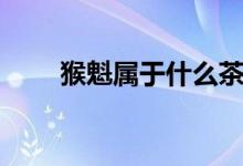 猴魁屬于什么茶（猴魁屬于什么茶）