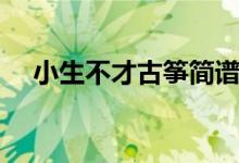 小生不才古箏簡譜（小生不才古風(fēng)句子）