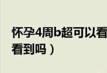 懷孕4周b超可以看到孕囊么（懷孕4周B超可看到嗎）