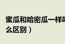 蜜瓜和哈密瓜一樣嗎（哈密瓜和西周蜜瓜有什么區(qū)別）