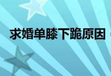 求婚單膝下跪原因（求婚單膝下跪哪條腿）