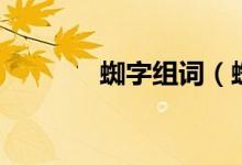 蜘字組詞（蜘字組詞有哪些）