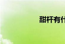 甜桿有什么營養(yǎng)價(jià)值