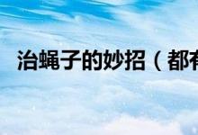 治蠅子的妙招（都有什么辦法可以驅(qū)蠅子）