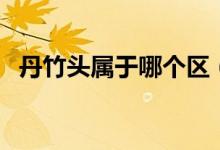 丹竹頭屬于哪個(gè)區(qū)（丹竹頭屬于哪個(gè)街道）