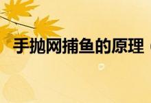 手拋網(wǎng)捕魚的原理（手拋網(wǎng)捕魚工作原理）