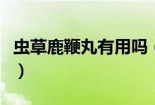 蟲草鹿鞭丸有用嗎（蟲草鹿鞭丸的作用是什么）