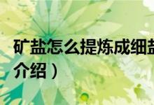 礦鹽怎么提煉成細鹽（礦鹽提煉成細鹽的過程介紹）