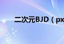 二次元BJD（pxj二次元是什么意思）