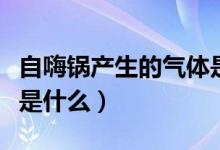 自嗨鍋產(chǎn)生的氣體是什么（自嗨鍋產(chǎn)生的氣體是什么）