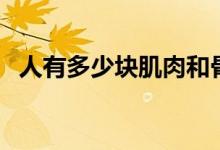 人有多少塊肌肉和骨頭（人有多少塊肌肉）