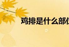 雞排是什么部位（雞排是什么肉）