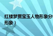 紅樓夢賈寶玉人物形象分析和評價作文（紅樓夢賈寶玉人物形象）