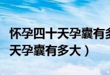 懷孕四十天孕囊有多大需注意什么（懷孕四十天孕囊有多大）