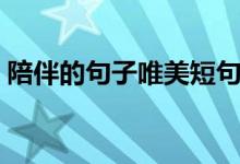 陪伴的句子唯美短句（陪你一起看細水長流）