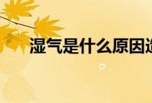 濕氣是什么原因造成的（濕氣是什么）