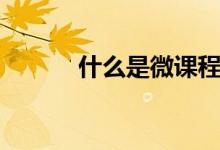 什么是微課程（微課程是什么）