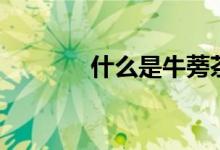 什么是牛蒡茶（什么是牛癟）