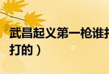 武昌起義第一槍誰打的題（武昌起義第一槍誰打的）