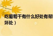 吃葡萄干有什么好處有幫助睡眠嗎（吃葡萄干有什么好處和壞處）