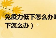 免疫力低下怎么辦吃什么藥能治愈（免疫力低下怎么辦）