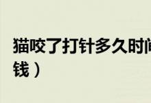 貓咬了打針多久時間打合適（貓咬了打針多少錢）