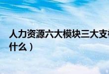 人力資源六大模塊三大支柱（人力資源六大模塊三大支柱是什么）