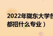 2022年隴東大學(xué)各省招生計(jì)劃及招生人數(shù)（都招什么專業(yè)）
