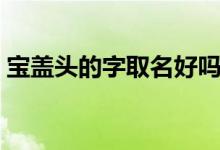 寶蓋頭的字取名好嗎（寶蓋頭的字取名女孩）