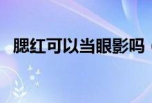 腮紅可以當(dāng)眼影嗎（腮紅可以當(dāng)眼影用嗎）