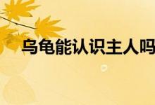 烏龜能認(rèn)識主人嗎（烏龜能認(rèn)識主人嗎）