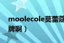 moolecole莫蕾蔻蕾（莫蕾蔻蕾是哪里的品牌?。?class=