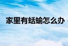 家里有蛞蝓怎么辦（家里有蛞蝓怎么清除）