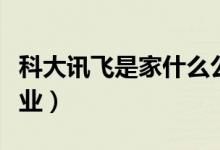 科大訊飛是家什么公司（科大訊飛是家什么企業(yè)）
