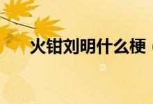 火鉗劉明什么梗（火鉗劉明什么意思）