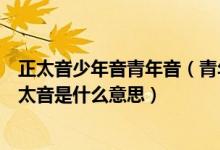 正太音少年音青年音（青年音、受音、大叔音、公子音、正太音是什么意思）