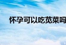 懷孕可以吃莧菜嗎（懷孕可以吃莧菜嗎）