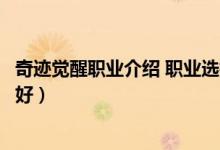 奇跡覺醒職業(yè)介紹 職業(yè)選擇攻略（奇跡覺醒里哪些職業(yè)比較好）