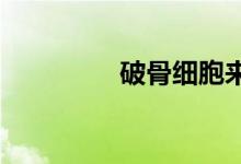 破骨細(xì)胞來源于什么細(xì)胞