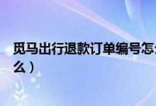 覓馬出行退款訂單編號(hào)怎么看（覓馬出行退款訂單編號(hào)是什么）