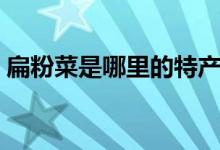 扁粉菜是哪里的特產(chǎn)（扁粉菜是哪里的特產(chǎn)）